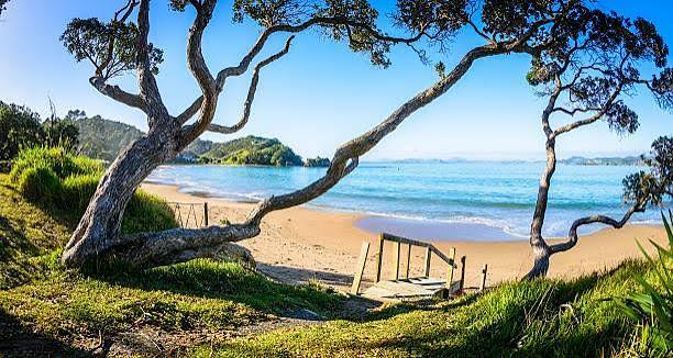 🏖️ Why Kiwis Are Ditching Hotels for the Humble Bach (And How to Book the Perfect One)